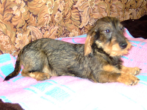 Wpis bogusia47
