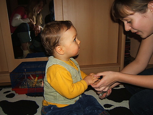 Wpis bartekelbeen