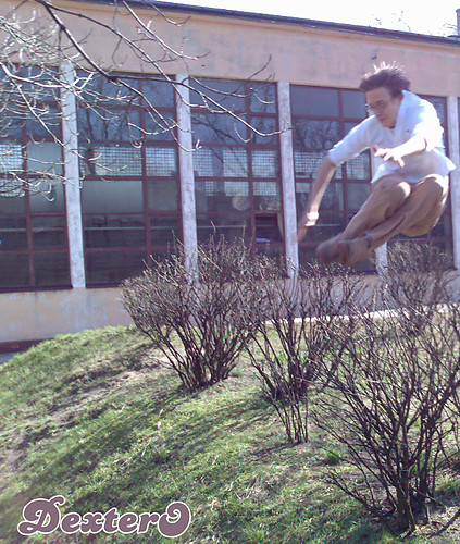 Wpis dexterooo