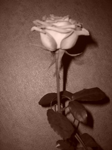 rzyCka :)