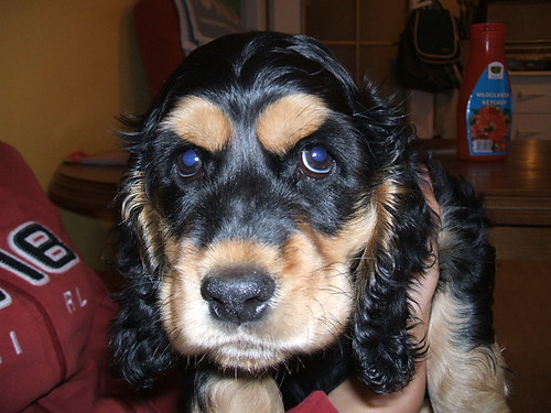 figo malutki :)