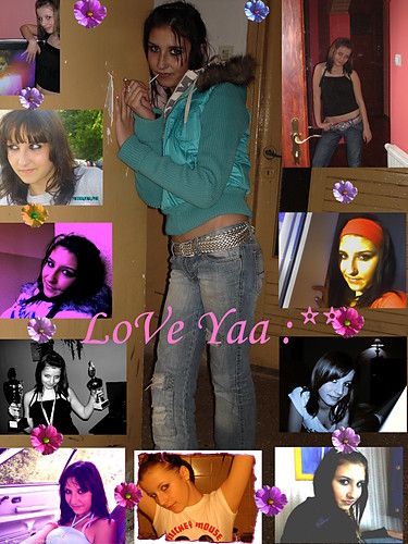 Wpis pyrcina