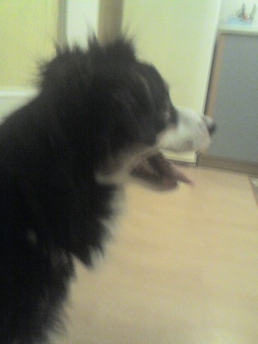 Haker!