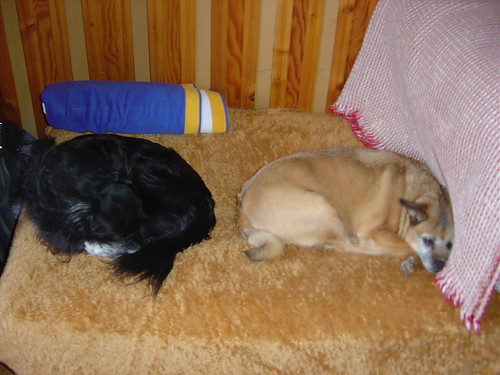 DUET! 