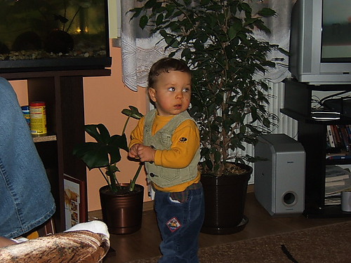 Wpis bartekelbeen