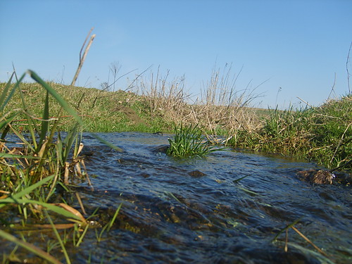 Wpis zelazko47