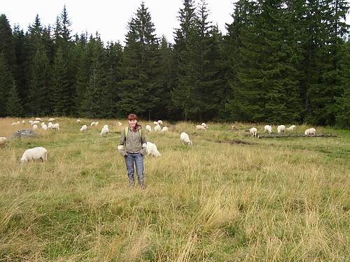 Rusinowa Polana
