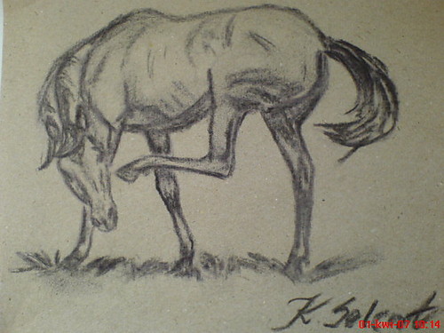 Konik