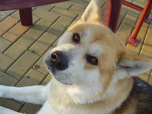 Hejka:p