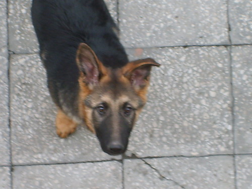 test..........
