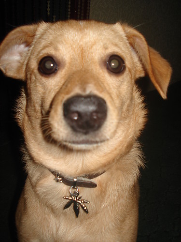 FiFi... =((