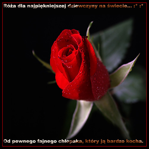 Dla jednej dziewczyny...