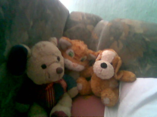 moje kochane misie:)