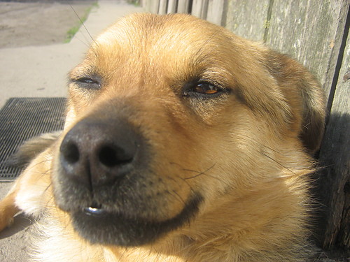 =)