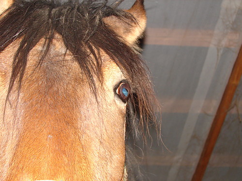Jasna ;]