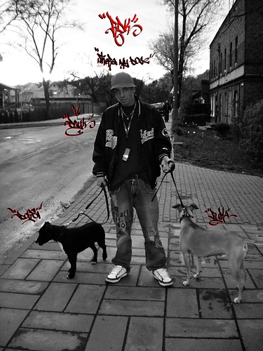 WHERE MY DOGZ 