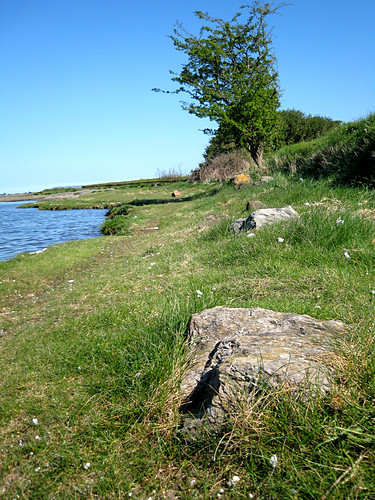 Wpis horykrulik