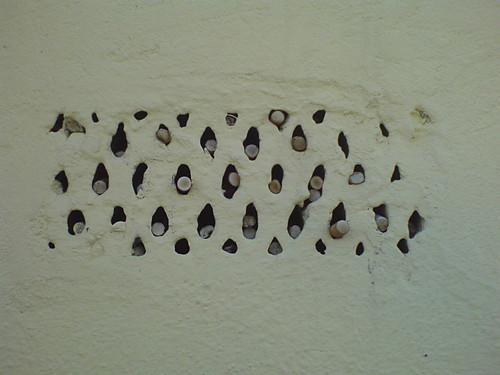 Popielara