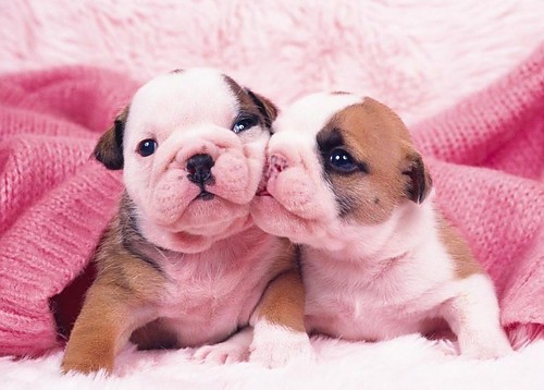 ;P