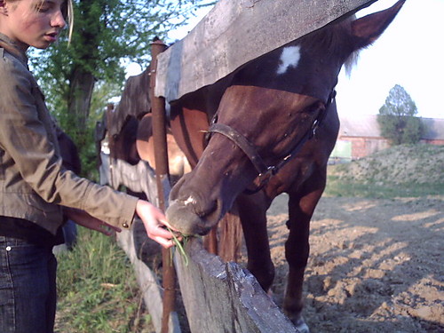 Wpis talka94