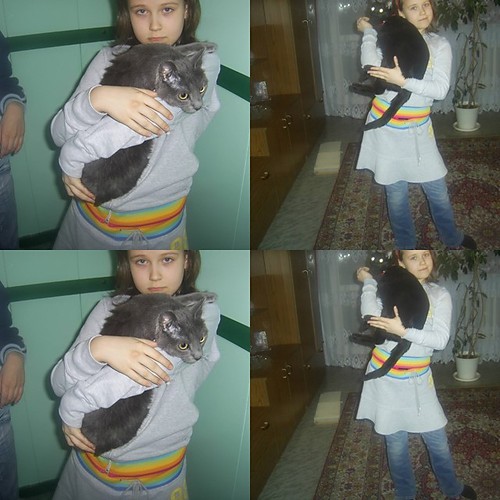 dwa kociaki i ja:*:*:*:*