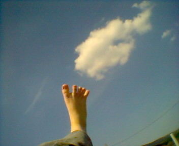 freedom