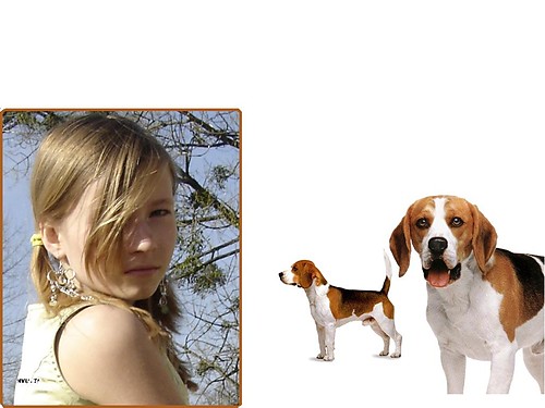 Beagle rulez!!