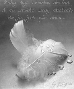 ...:::Momenty:::...