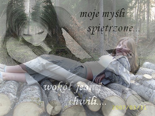 Wpis myszka8