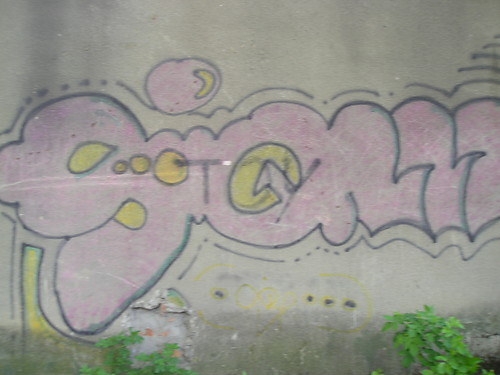 My one photo...