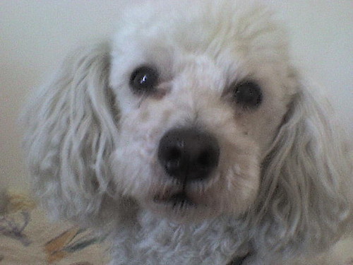 Timmu :*