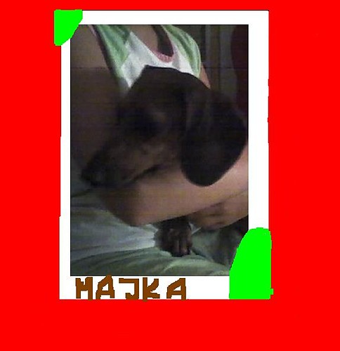 Majka:*:*:*