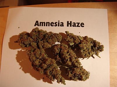 Amnesia Haze