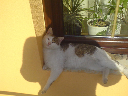 Emilio  :]