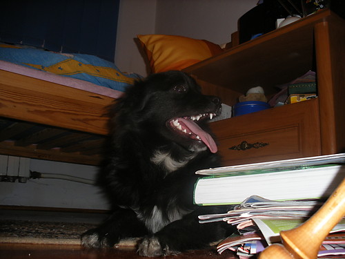 Berylek :*
