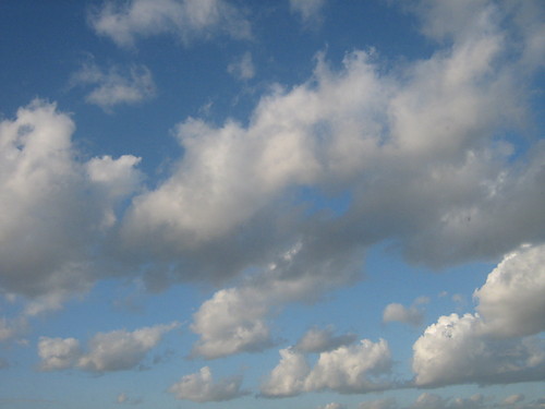 niebko)