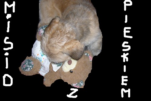 Misio z pieskiem :P