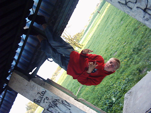 OTO MOJA DRUGA FOCIA
