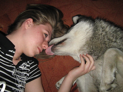 Ajax i Ami