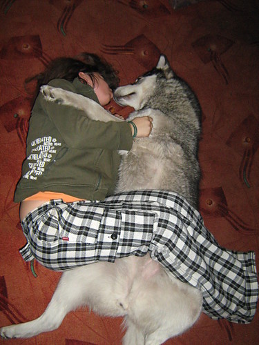 Sap i Ami ^^