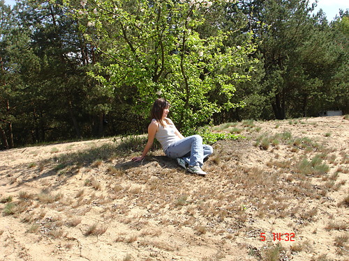 Wpis sunshineladybird01
