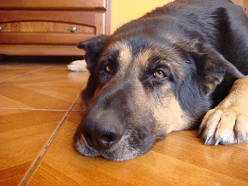 Czy te oczy mog kama... :)