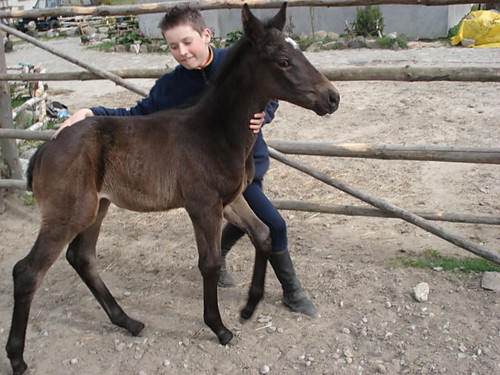 ja i piekna Hanza