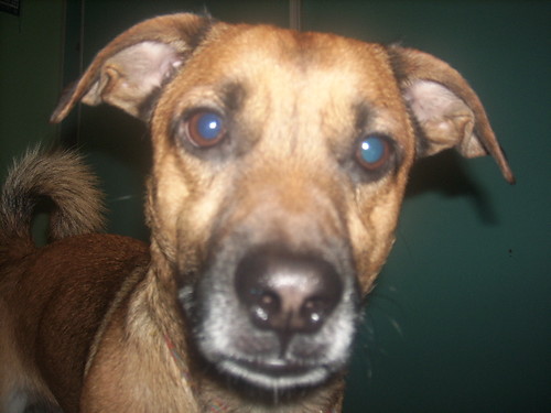 BrudeRek=)