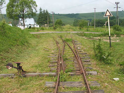 NeW PhOtObLoG
