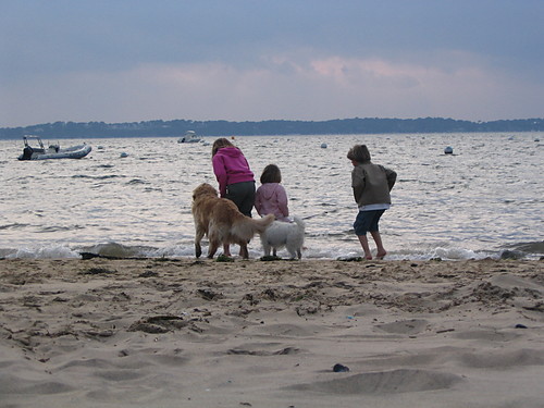 Arcachon II