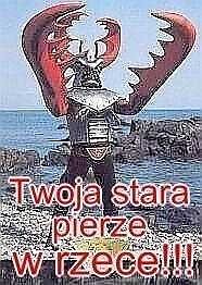 Twoja Stara Pierze W Rzece