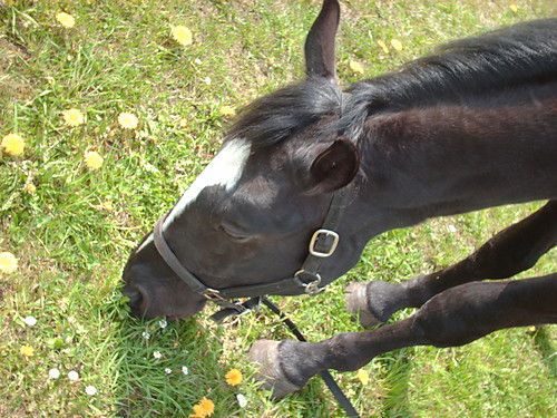 URODZINKI
