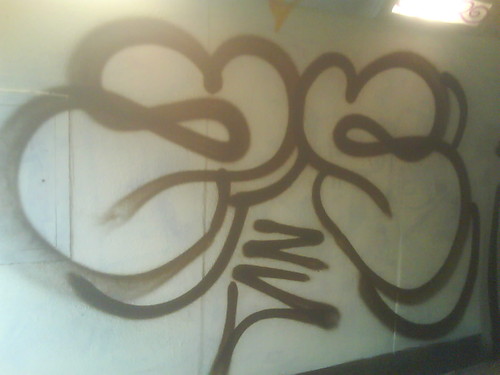 zS outline