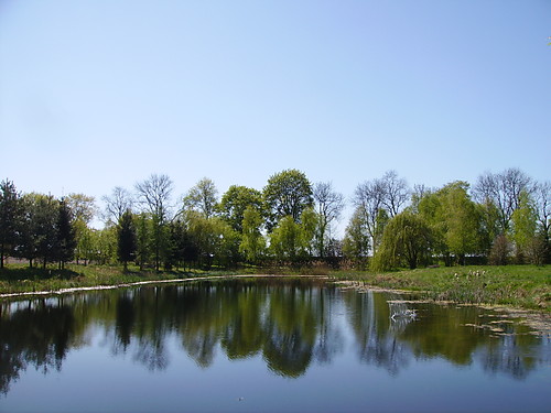 falocz